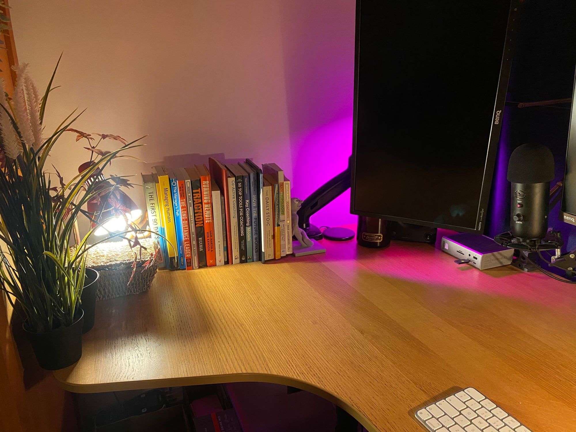 The left-hand side of the desk with plants, books and a notepad