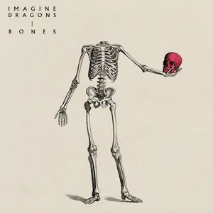 Cover of Bones
